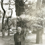 Franco Loi